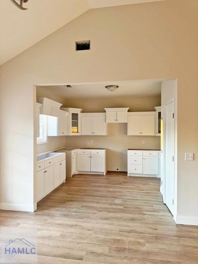 209 Lanier Rd, Ludowici, GA 31316 - photo 2