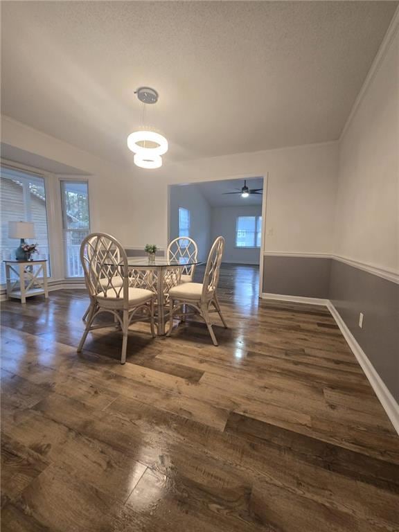Dining area featuring dark wood-type flooring, a t