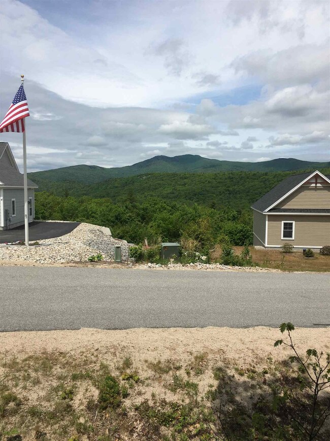 5 Black Bear Run unit 5, Center Tuftonboro, NH 03816 - photo 2