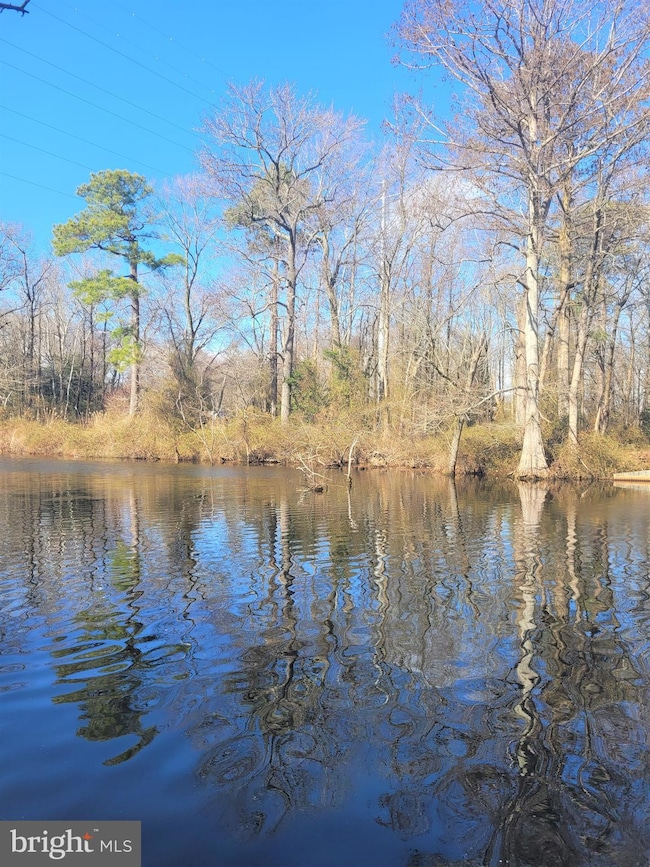 452 W 6th St, Laurel, DE 19956 - photo 5