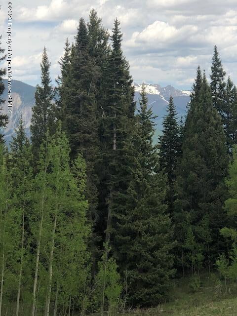 1250 (Lot 37) Red Mountain Ranch Rd, Crested Butte, CO 81224 - photo 3