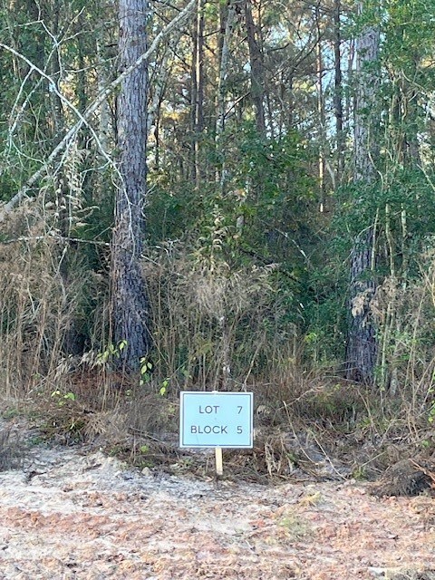 157 Rustic Ranch Dr, New Waverly, TX 77358 - photo 6