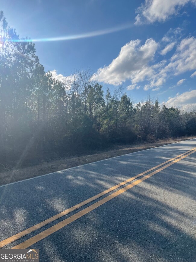 0 Rock Springs Rd unit 10456548, Dublin, GA 31021 - photo 4