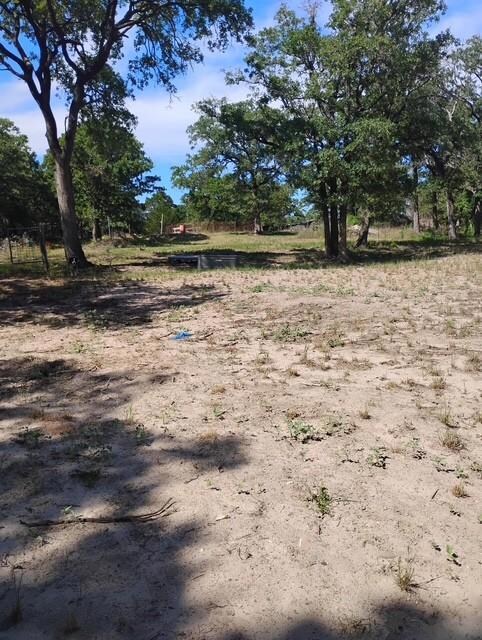 View of undeveloped land