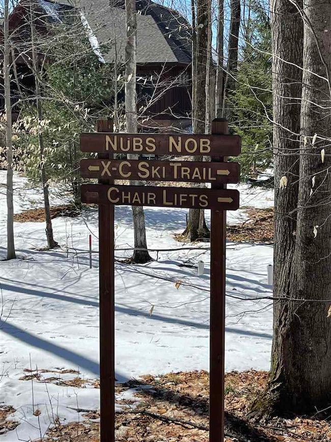 6060 Trillium Woods Dr unit 38, Harbor Springs, MI 49740 - photo 4