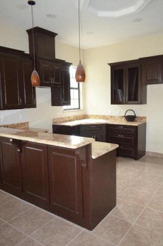 2711 Lissner Ave, Donna, TX 78537 - photo 3