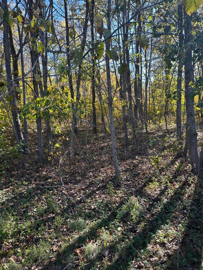 E B Ave Vacant Land (3)