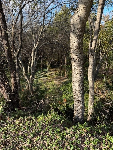 2009 Valley View Dr, Cedar Hill, TX 75104 - photo 4