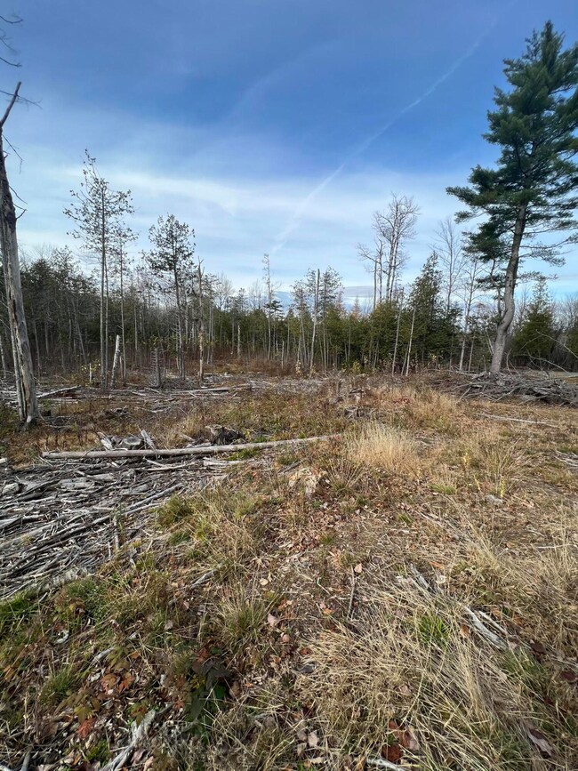 land view2