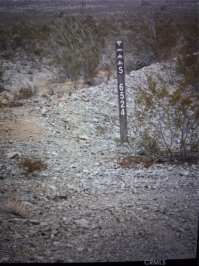 0 Delmonico Rd unit IG25230745, Oro Grande, CA 92368 - photo 2