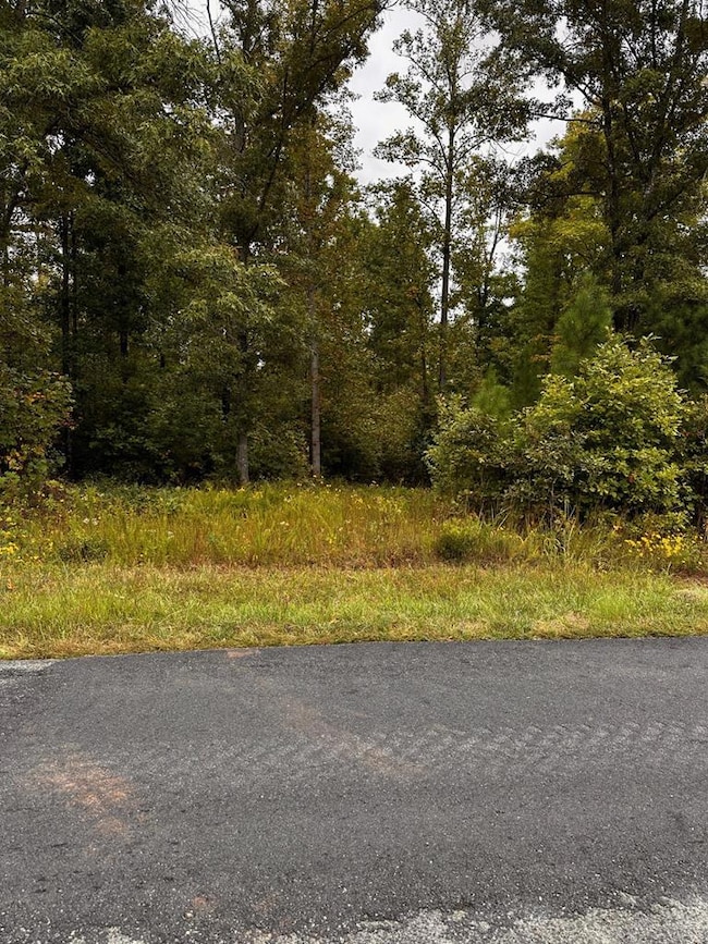 00 Bearskin Rd, Chatham, VA 24531 - photo 5