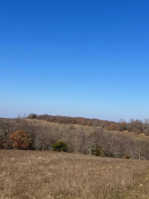 0 State Highway 3, Coalgate, OK 74538 - photo 3