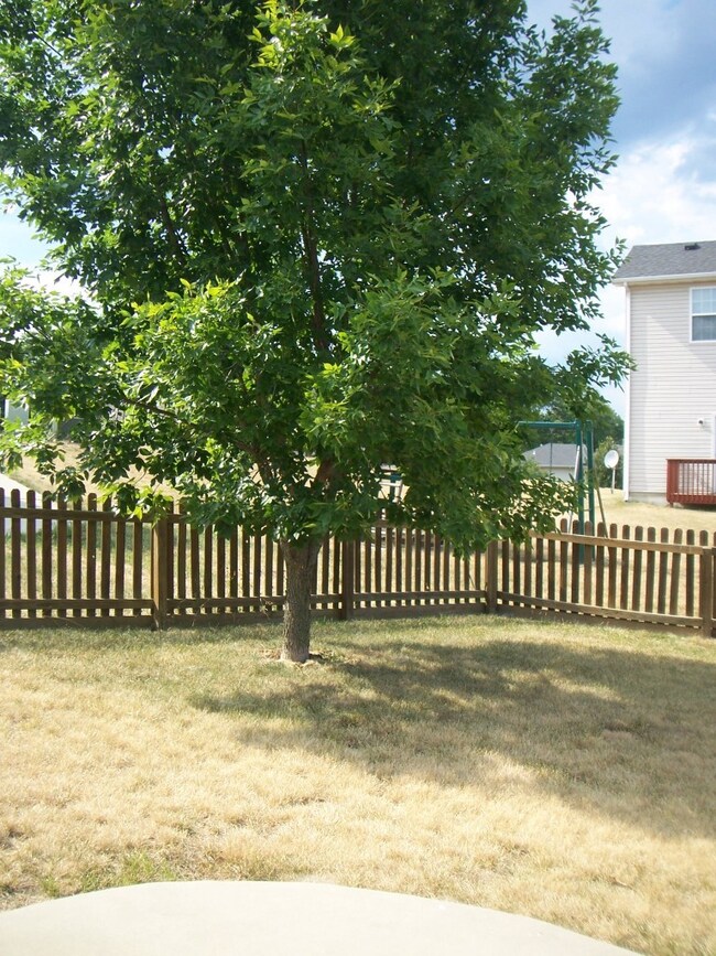 Back yard view