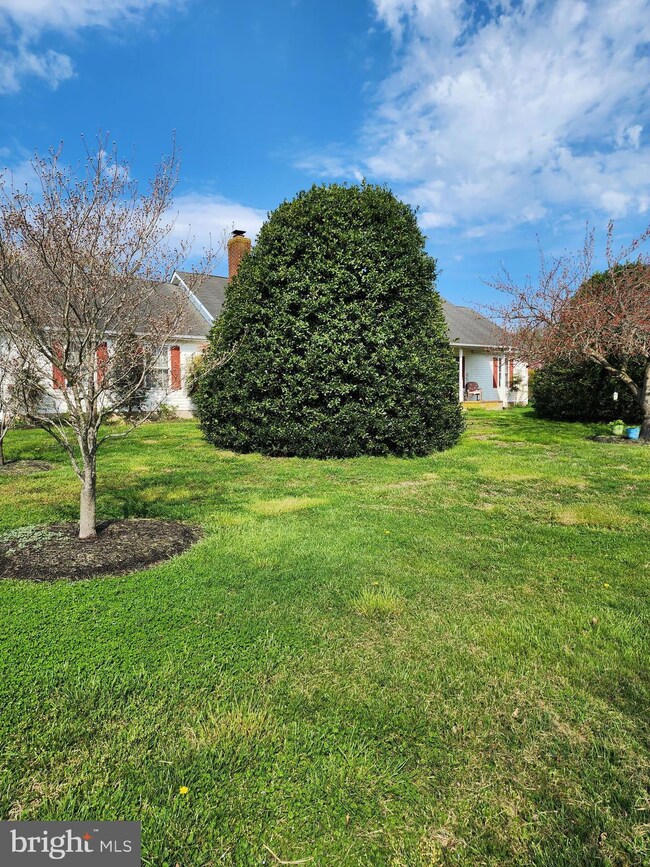 567 Amsterdam Rd, Felton, DE 19943 - photo 2