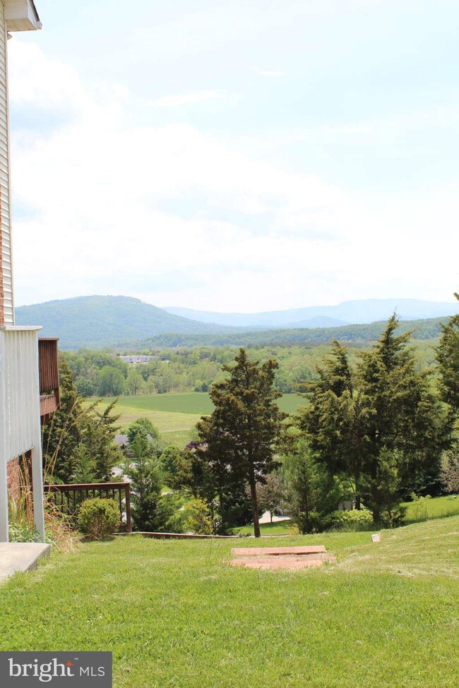 385 Hill Top Ct, Front Royal, VA 22630 - photo 5