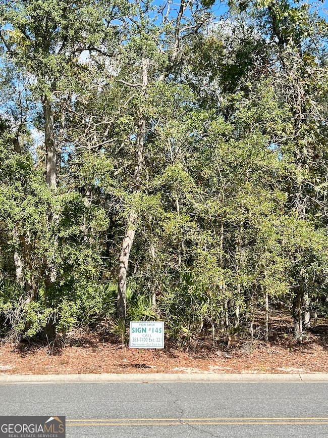 1344 River Landing Way, Blackshear, GA 31516 - photo 5