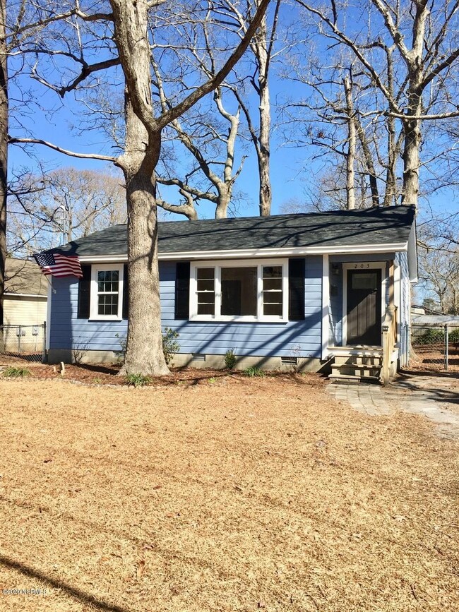 203 Red Oak St, Jacksonville, NC 28540 - photo 2