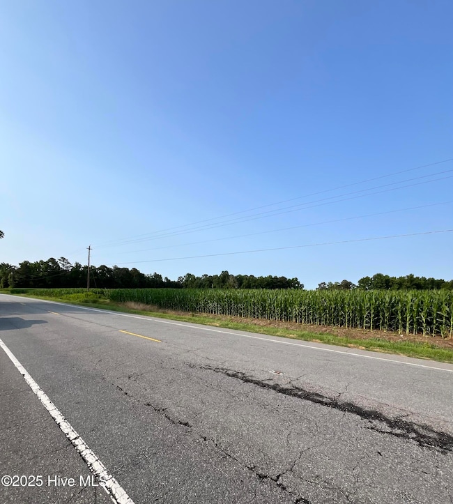 0 Hobbton Hwy unit 100510708, Newton Grove, NC 28366 - photo 5