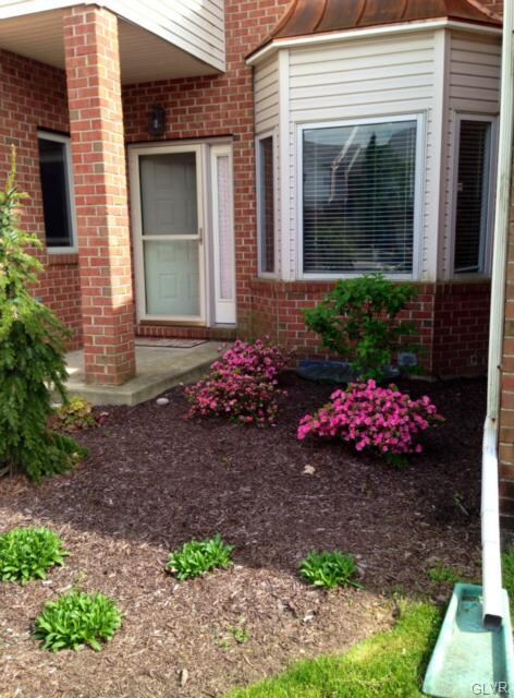 new landscaping by Plantique