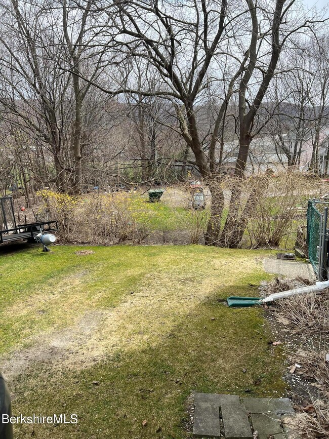 Left Side Yard