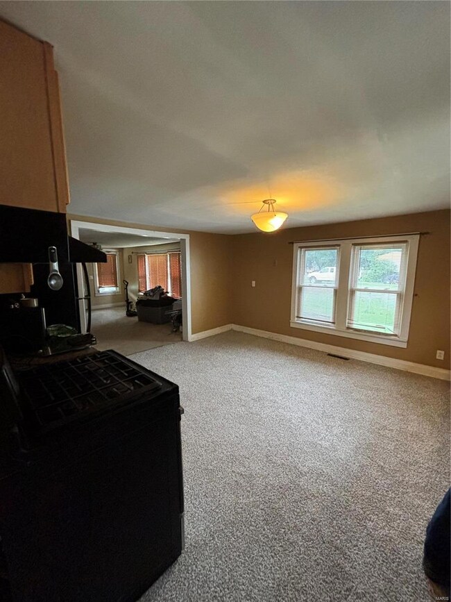 302 N Hickory St, Bertrand, MO 63823 - photo 5