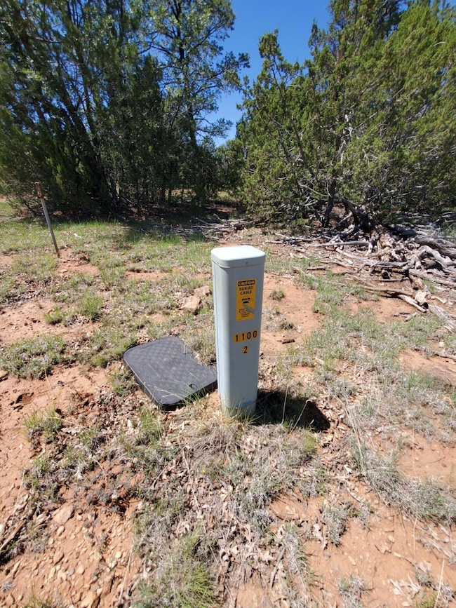 8571 Haven Crest Dr, Blue Ridge, AZ 86024 - photo 3