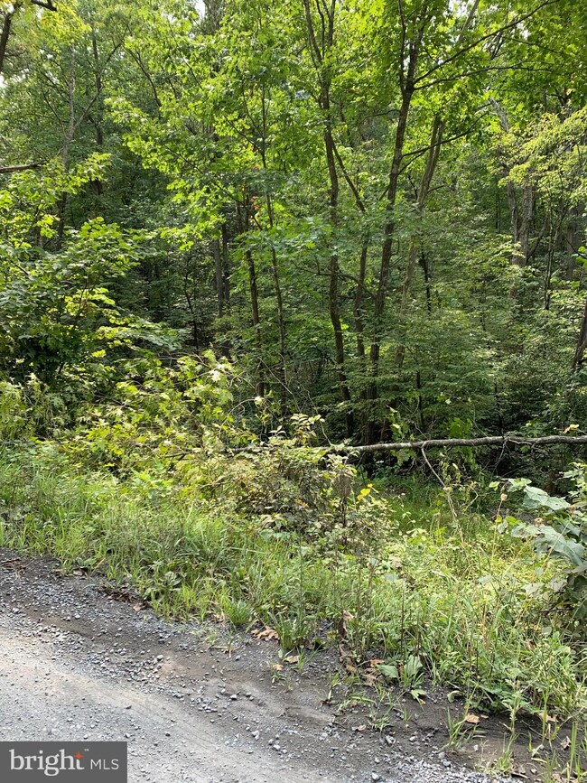 0 Unknown unit VASH117156, New Market, VA 22844 - photo 2