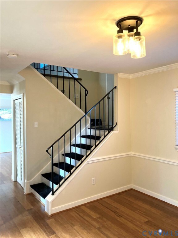 8503 Julian Rd, Henrico, VA 23229 - photo 6