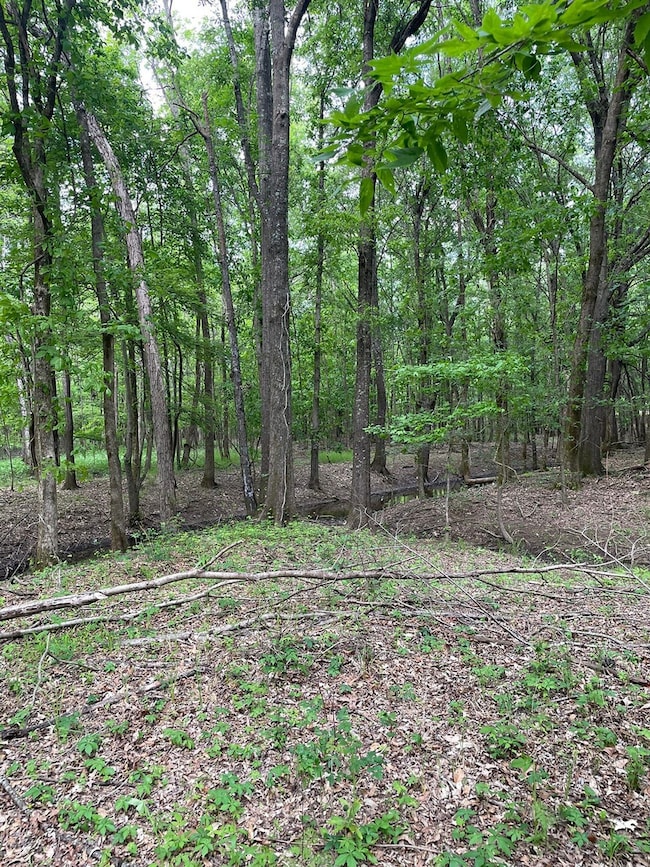 Highway 6, Marks, MS 38646 - photo 7