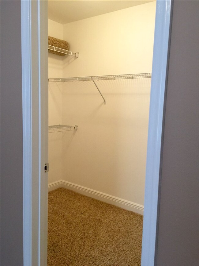 14 Imaginary Ln, Crawfordville, FL 32327 - photo 5