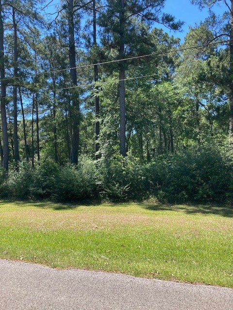 TBD Forest Trail, Hockley, TX 77447 - photo 2