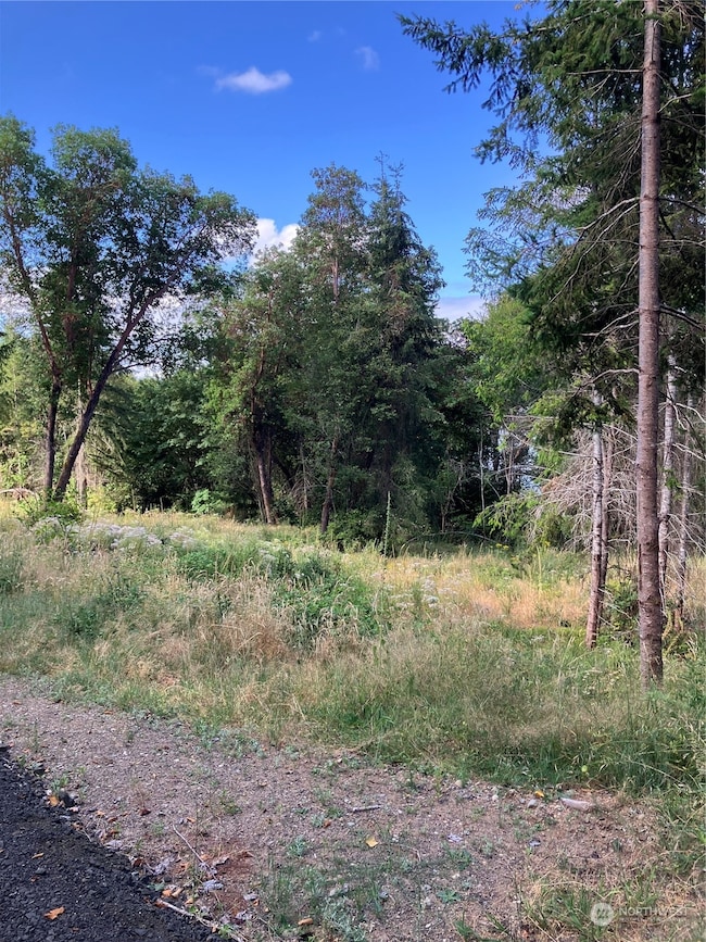 7 E Swindler's Cove Rd, Shelton, WA 98584 - photo 2