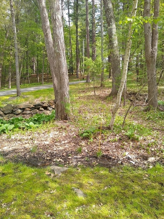 534 Ipswich Rd, Boxford, MA 01921 - photo 4