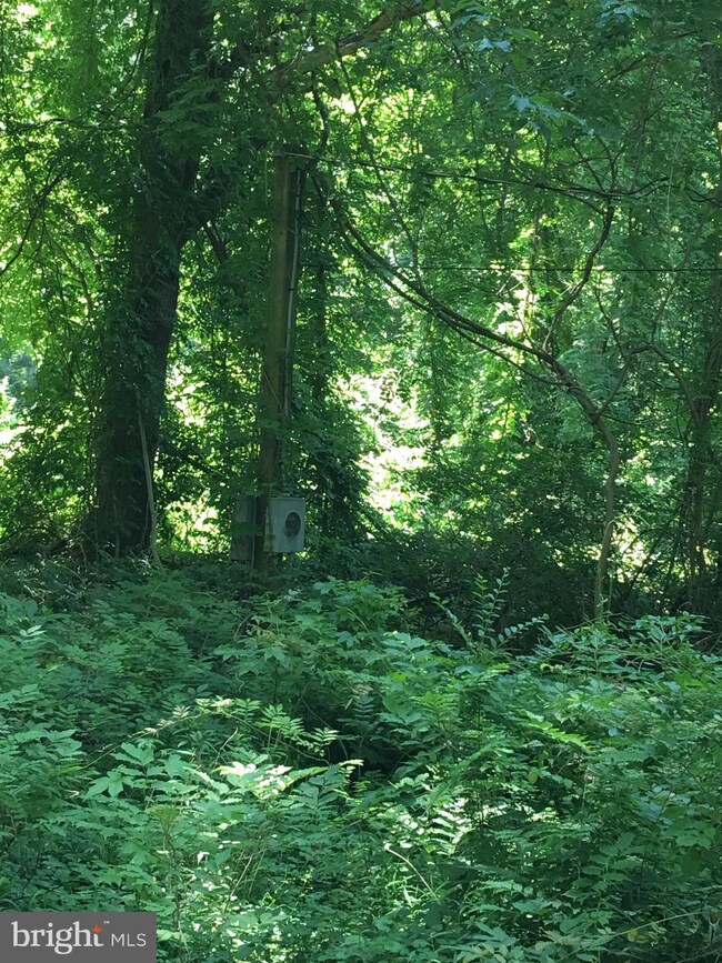 17629 Piney Point Rd, Tall Timbers, MD 20690 - photo 2