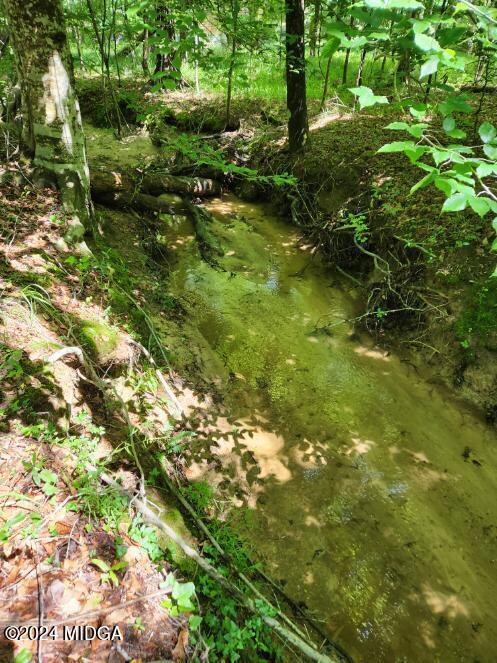 447 Chapman Rd, Macon, GA 31211 - photo 7