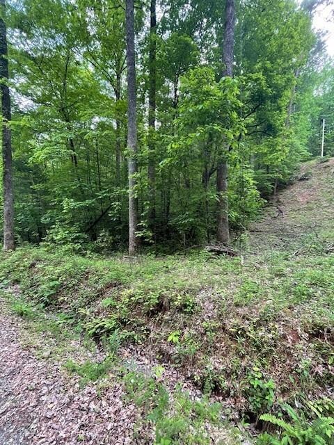 0 Mccormick Dr unit 7568882, Dawsonville, GA 30534 - photo 2