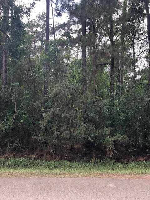 0 Shadberry, Magnolia, TX 77354 - photo 6