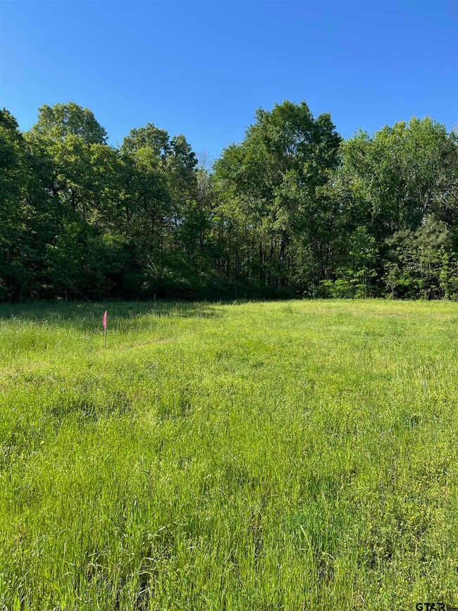 6001 County Road 233, Tyler, TX 75705 - photo 2