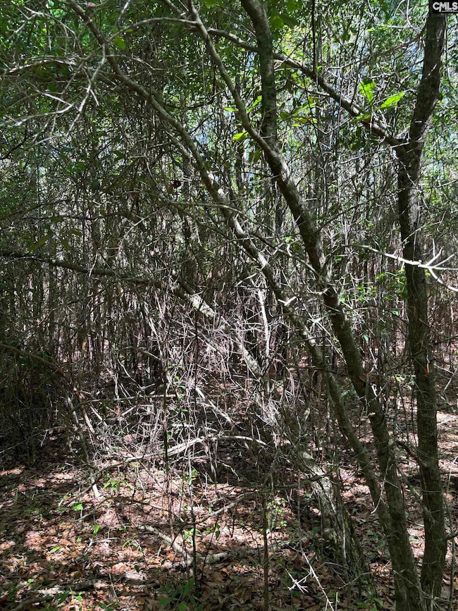 0 Black River Rd, Rembert, SC 29128 - photo 7