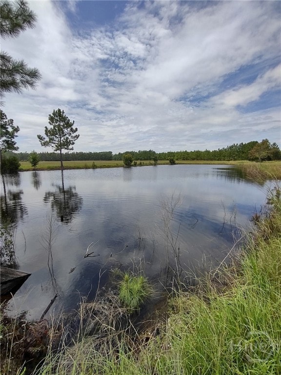 680 Porter's Landing Rd unit LOT 1, Clyo, GA 31303 - photo 3