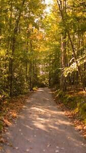 239 Enchanted Forest Way, Burnside, KY 42519 - photo 4