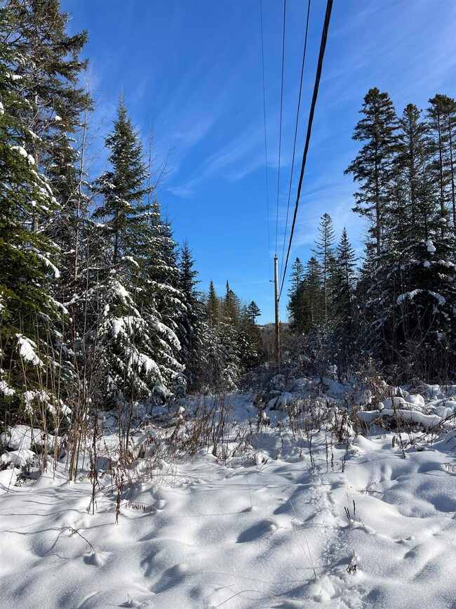 0 Shadow Lake Rd unit 5070680, Glover, VT 05839 - photo 6