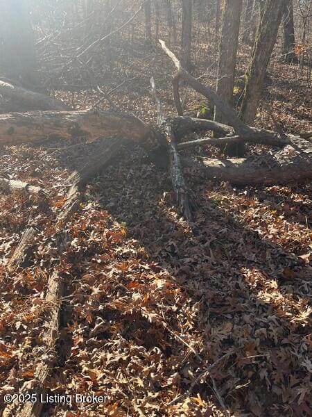 L32 Ted Logsdon Rd, Clarkson, KY 42726 - photo 4