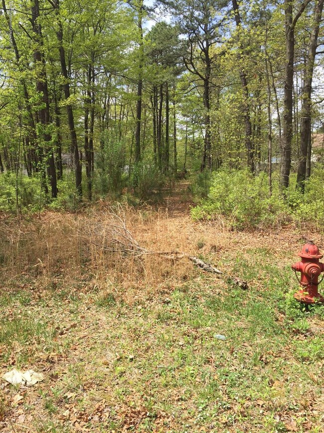 000 Mckinley Ave, Bayville, NJ 08721 - photo 5