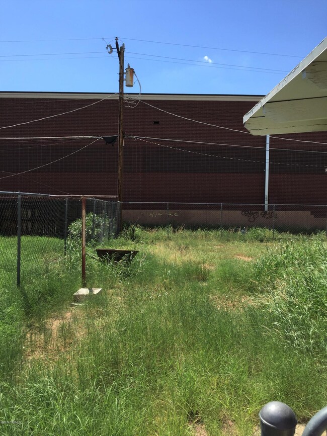Montego backyard