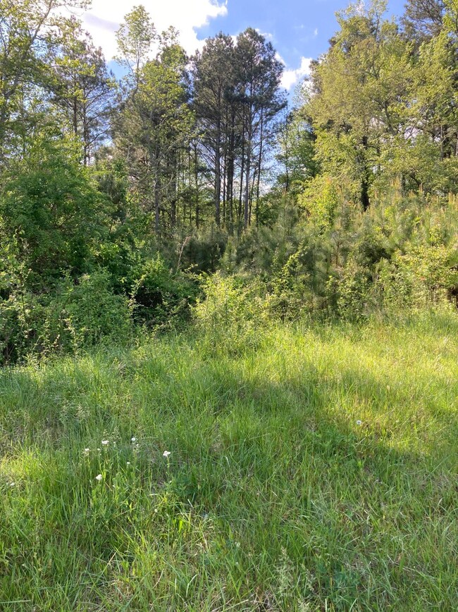 0 Keys Rd unit 1334840, Tunnel Hill, GA 30736 - photo 3