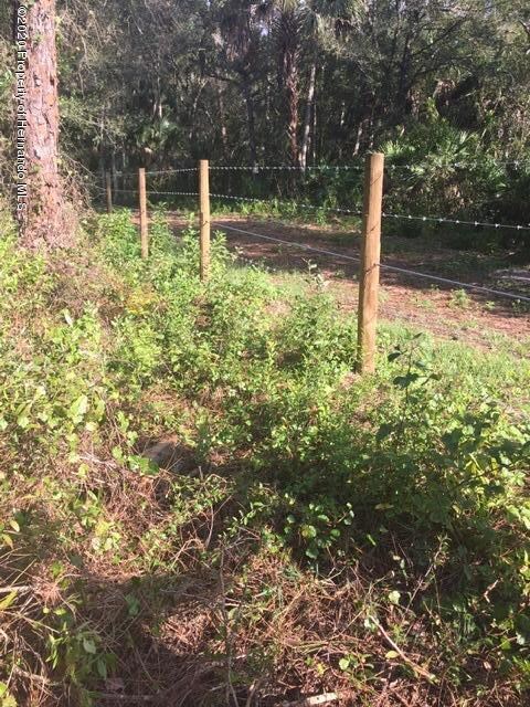 3901 Packinghouse Rd, Fort Myers, FL 33919 - photo 3