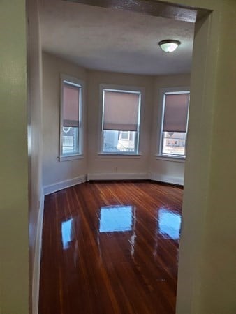 117 Harrishof St unit 1, Dorchester, MA 02121 - photo 6