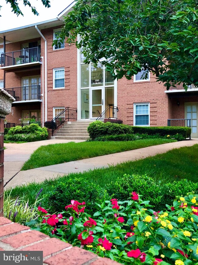 3330 Spring Ln unit D32, Baileys Crossroads, VA 22041 - photo 3