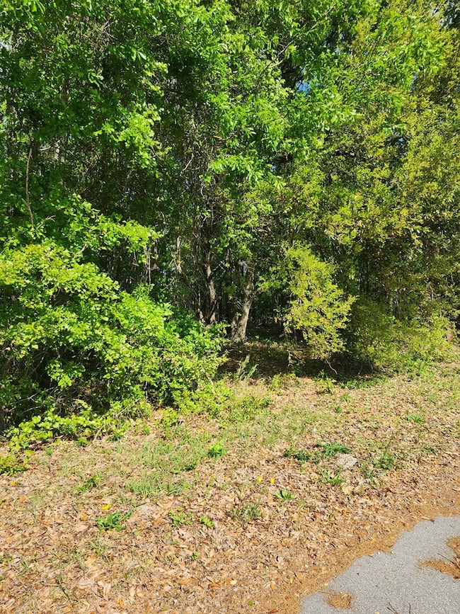 2395 Killdee Dr, Privateer, SC 29154 - photo 3